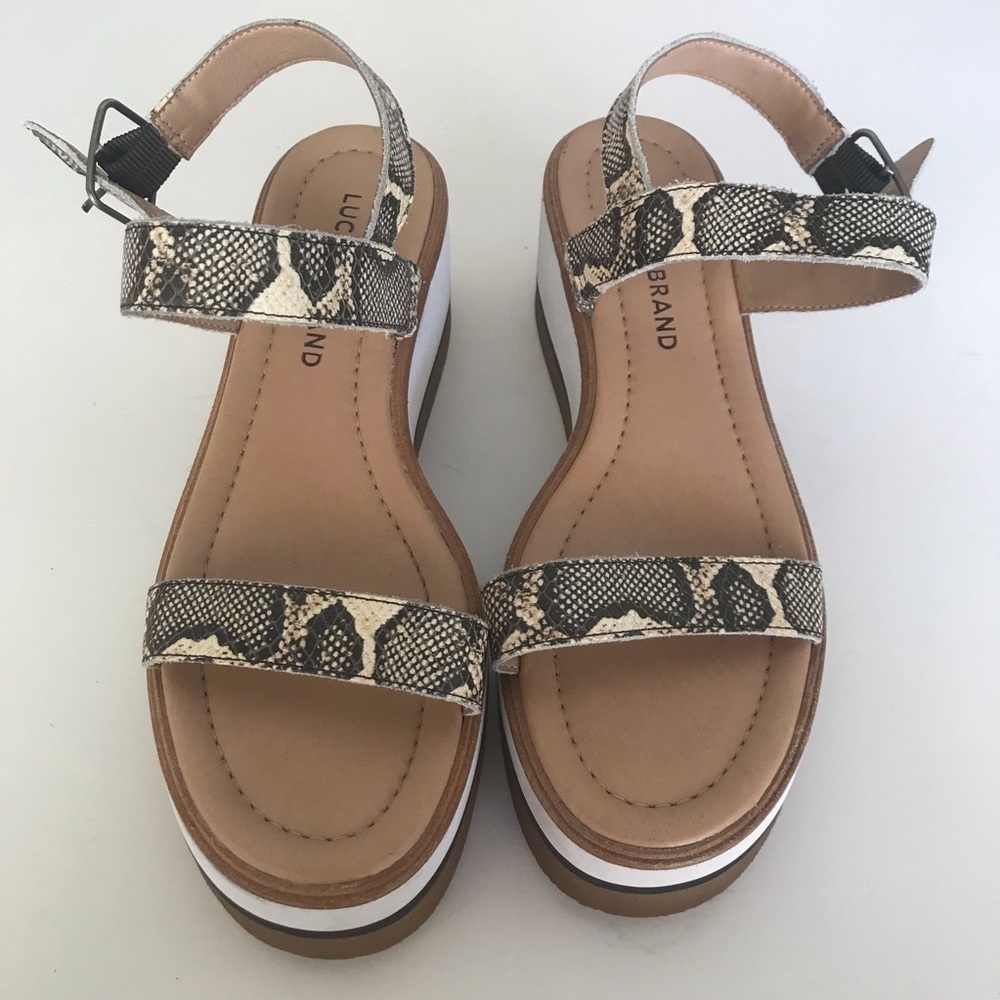 Lucky Brand reptile animal print Strat 2.5 platform wedge size 7M
